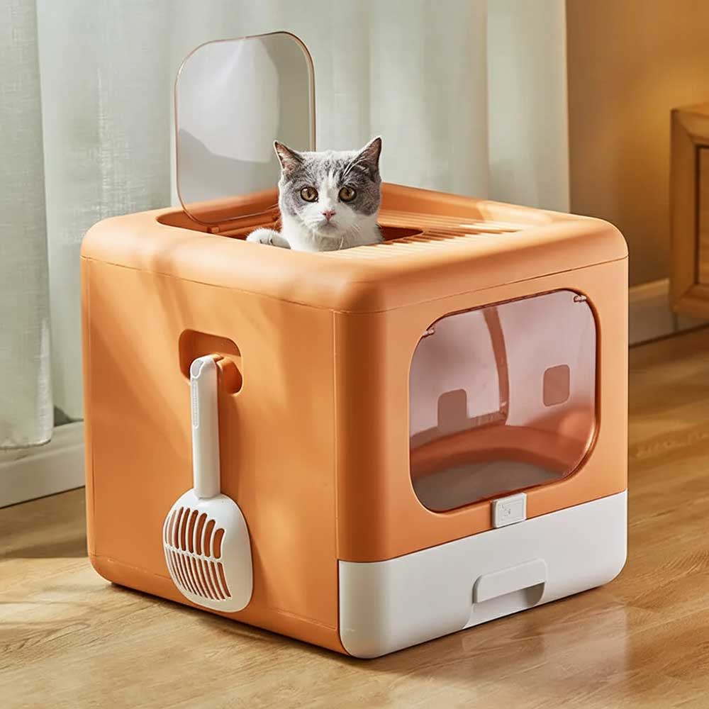 Cat Litter Box
