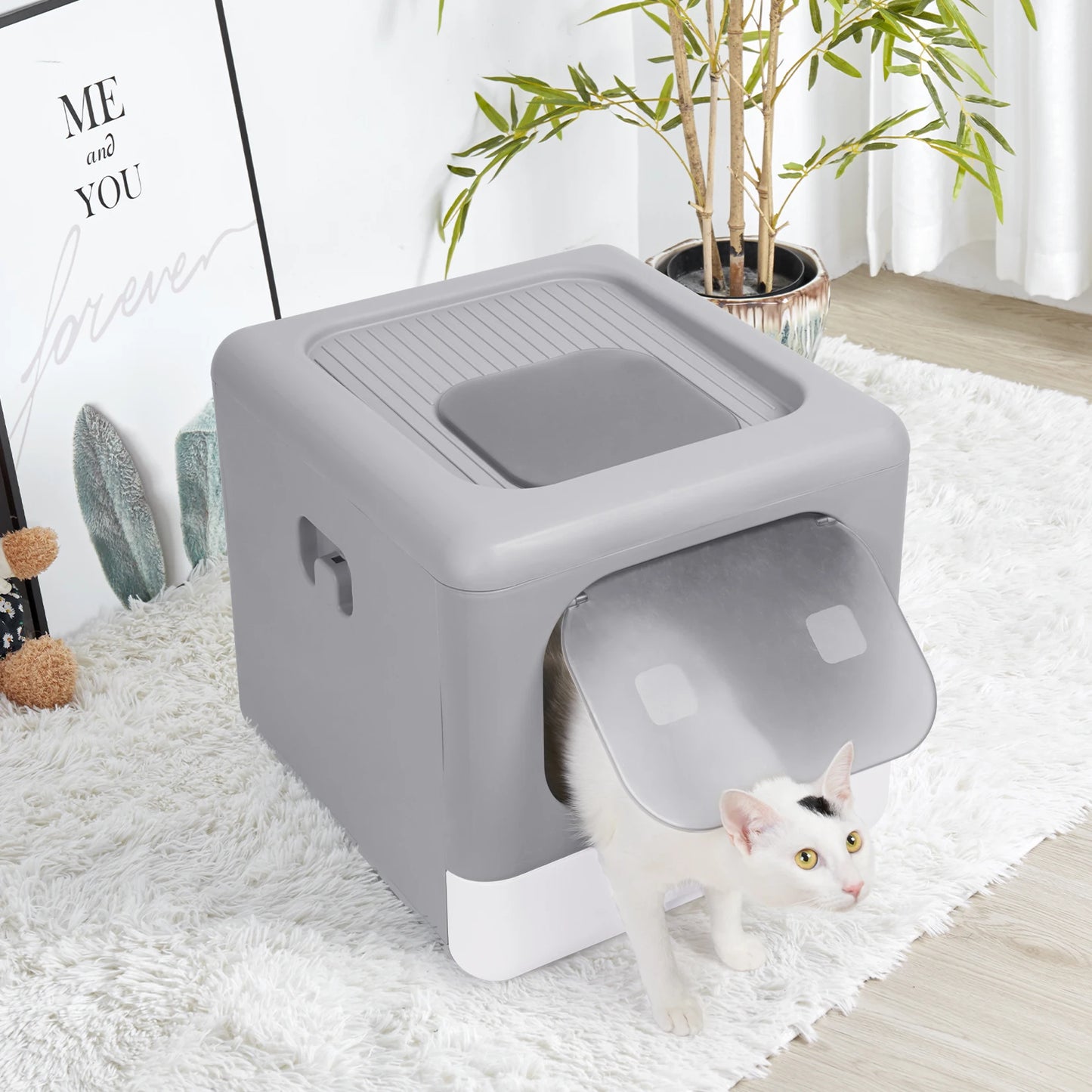 Cat Litter Box