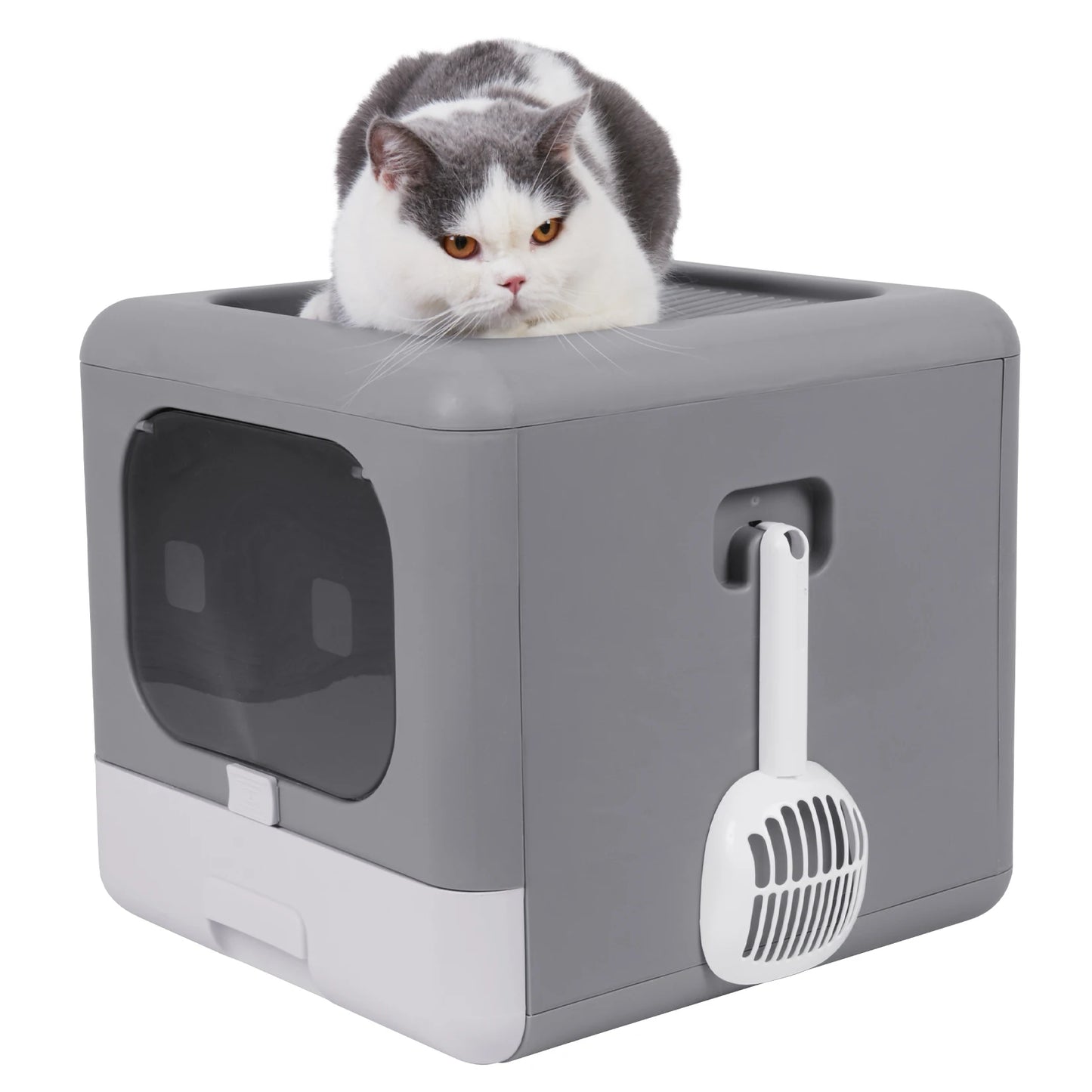 Cat Litter Box