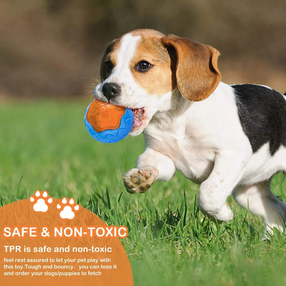 Interactive Dog Chew Toy