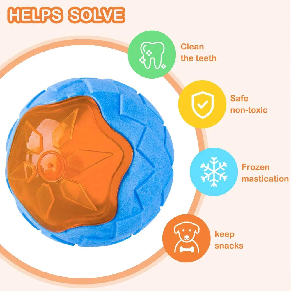 Interactive Dog Chew Toy