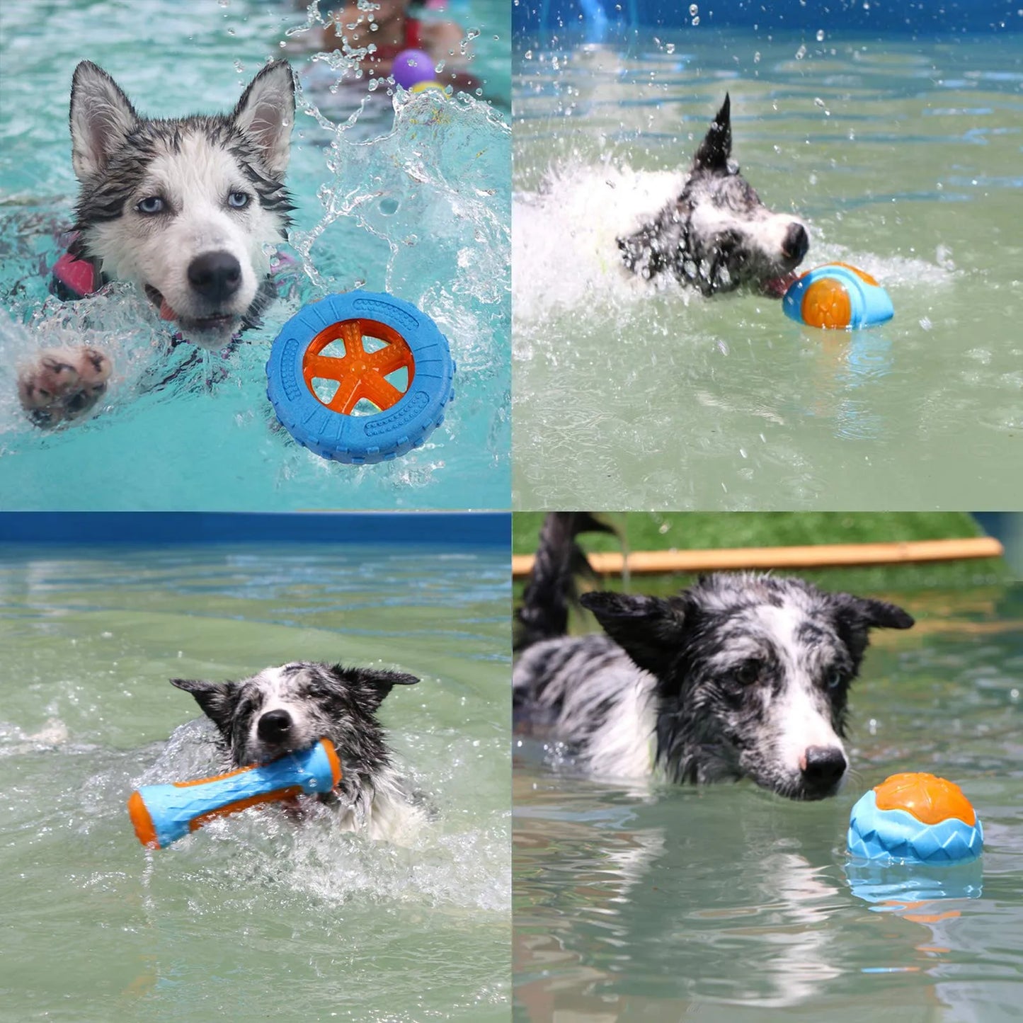 Interactive Dog Chew Toy