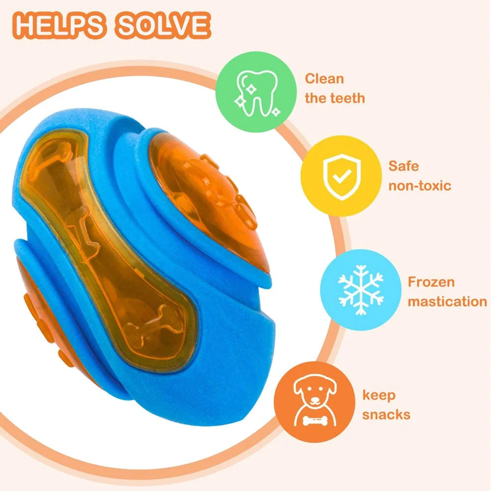 Interactive Dog Chew Toy
