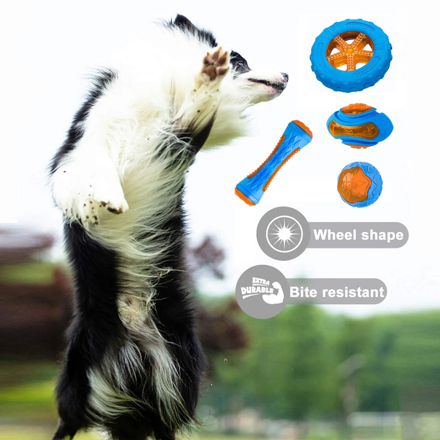 Interactive Dog Chew Toy