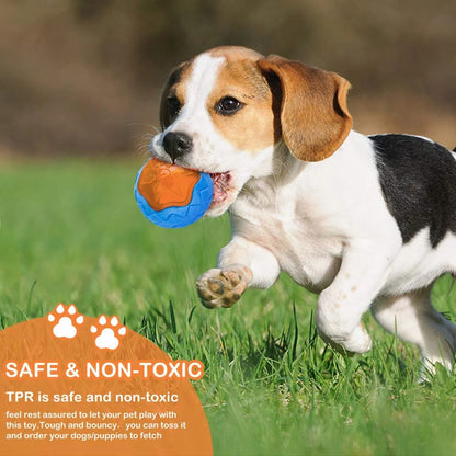 Interactive Dog Chew Toy